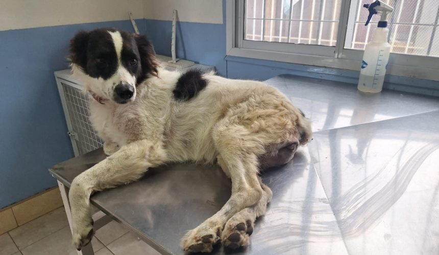 648781585_902386142413139_8415940445057656117_n