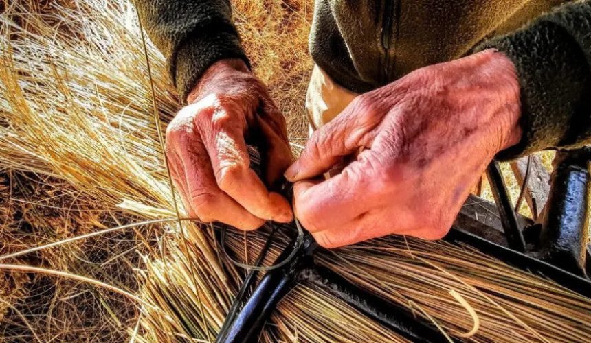 Captura de pantalla 2025-11-26 180515