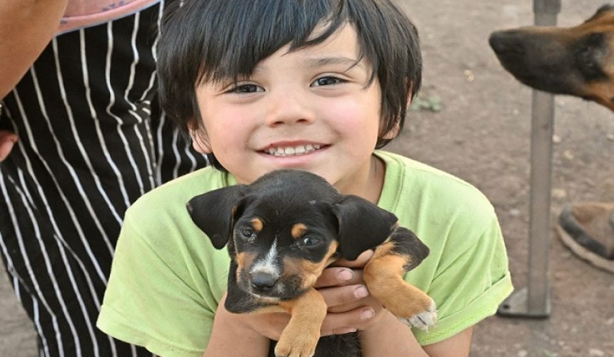 Captura de pantalla 2026-04-17 100322