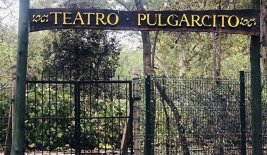 PULGARCITO