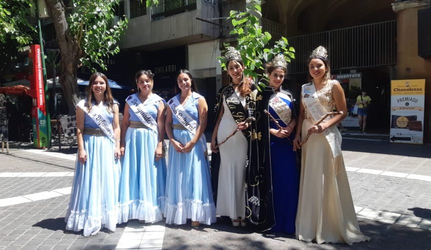 WhatsApp Image 2023-01-03 at 12.34.50