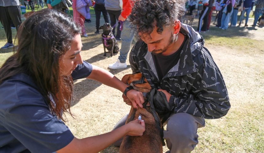 WhatsApp-Image-2026-04-25-at-15.37.17-4