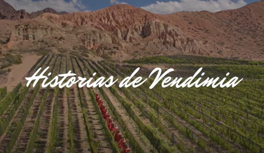historias de vendimia-f7424f52