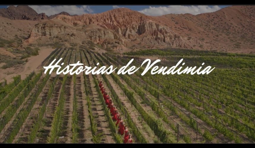 historias de vendimia